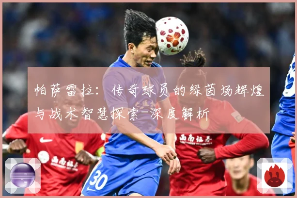 帕萨雷拉：传奇球员的绿茵场辉煌与战术智慧探索-深度解析