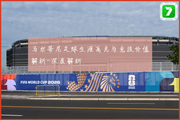 马尔蒂尼足球生涯高光与竞技价值解析-深度解析